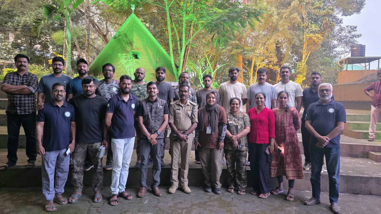 Forest restoration